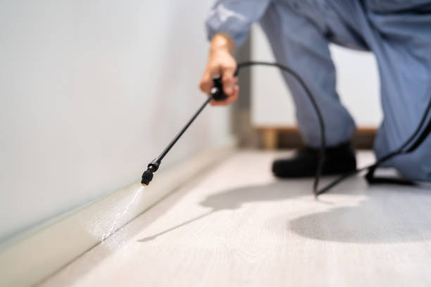Licensed Pest Control service in Dunbar, WV - Show Me Pest Control