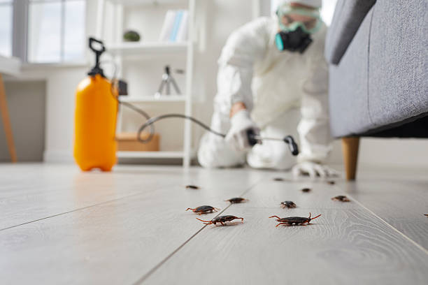 Commercial Kitchen Cockroach Control in Dunbar